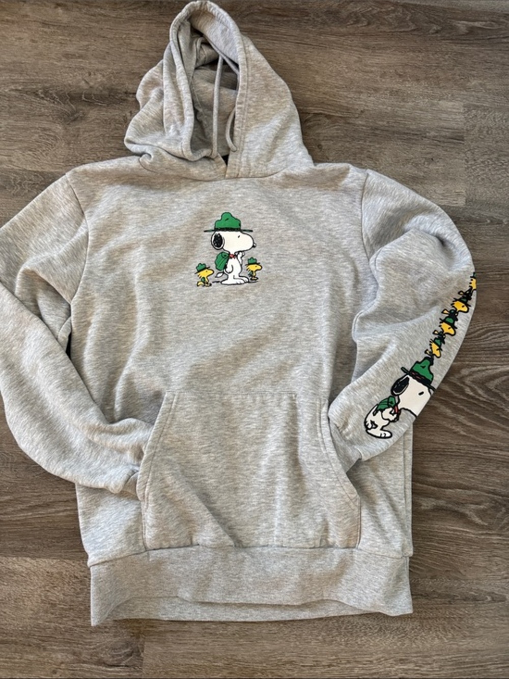 Peanuts adult M Gray Hooded Sweatshirt with Green Snoopy & Woodstock graphic